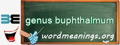 WordMeaning blackboard for genus buphthalmum